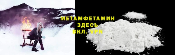 прущие грибы Анжеро-Судженск