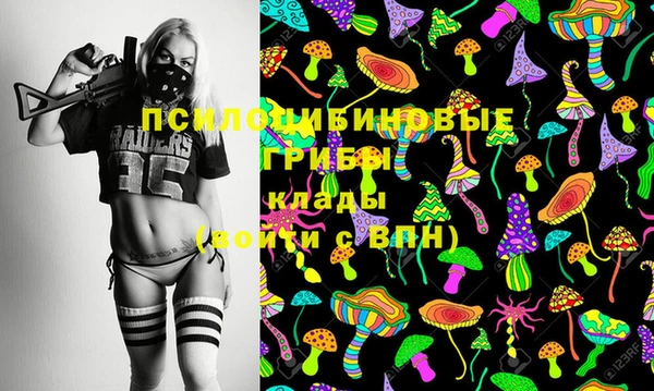 прущая мука Анива