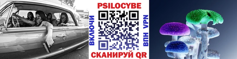 Псилоцибиновые грибы Psilocybe  Череповец 