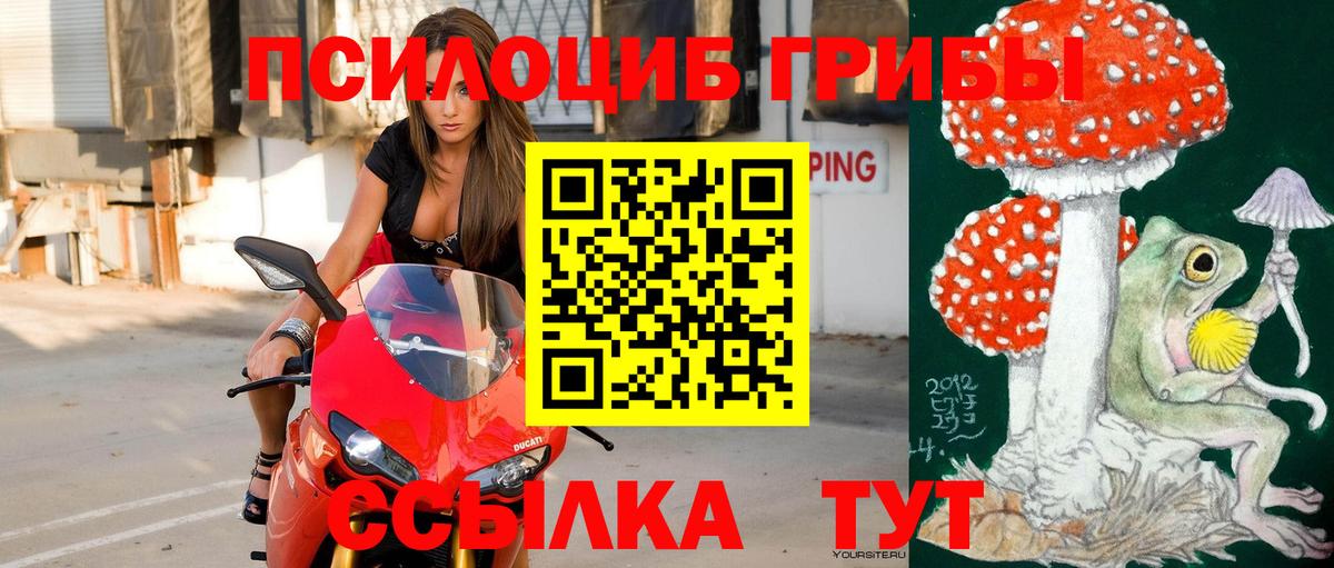 Псилоцибиновые грибы мицелий  Псилоцибиновые грибы мухоморы  купить  цена  Череповец 