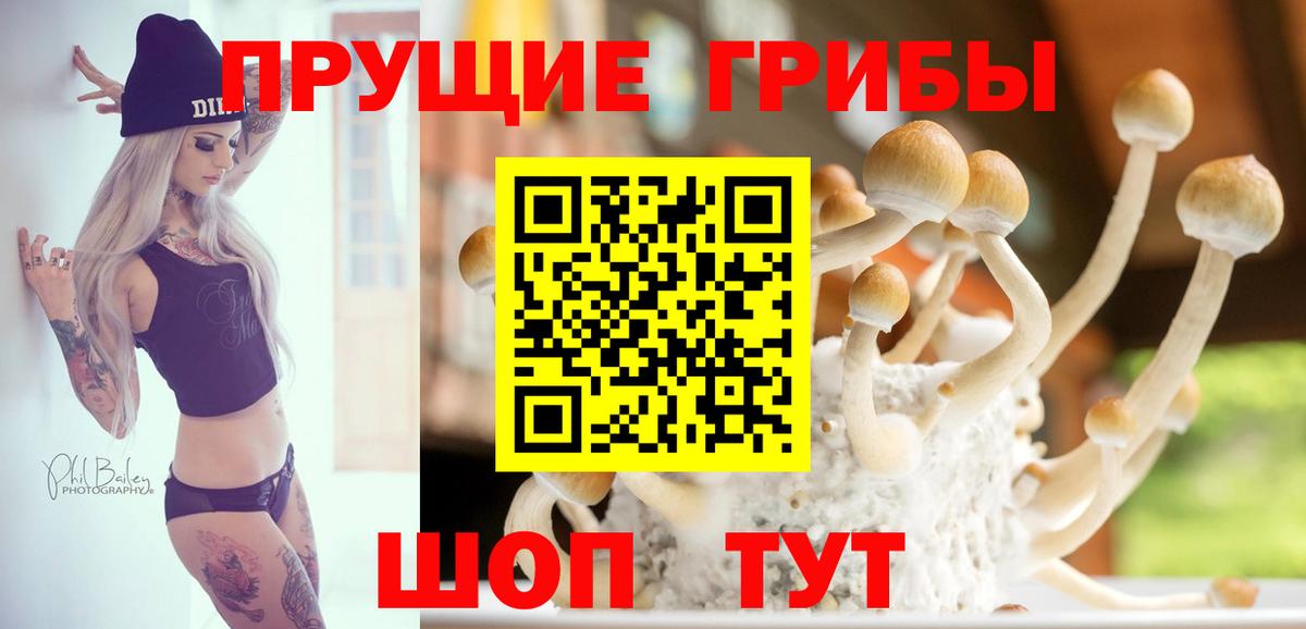 Псилоцибиновые грибы Cubensis  Вход с VPN  Череповец  Галлюциногенные грибы GOLDEN TEACHER 