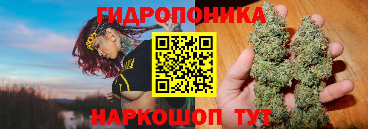 Конопля THC 21%  МАРИХУАНА ГИДРОПОН  Каннабис White Widow  Череповец 