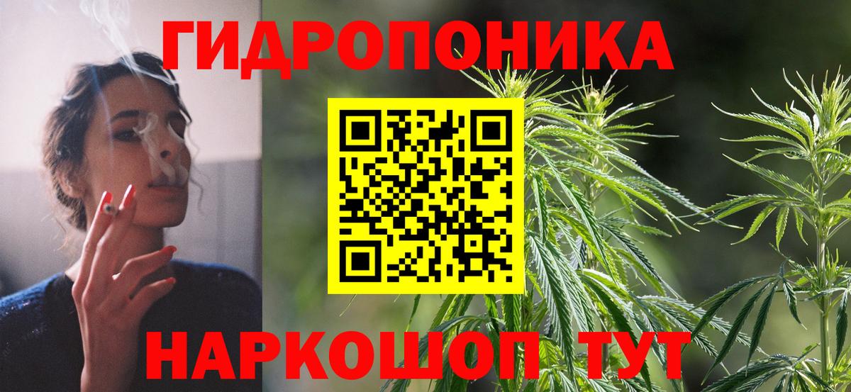 Бошки марихуана Ganja  Вход с VPN  Бошки марихуана тримм  Череповец  Шишки марихуана индика 